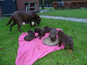 P1020208